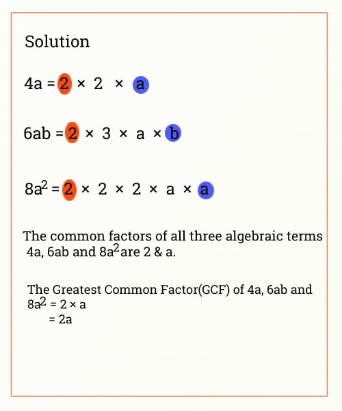 algebraic terms